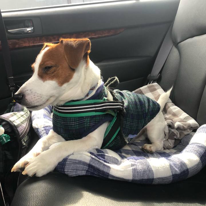 0be8bd31 12c1 41b6 a1d3 032fa1cd7dba 1584090469763