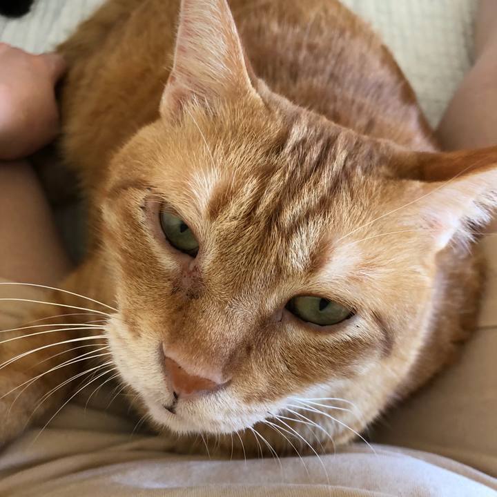 0be8c4b2 9704 4b88 9808 1fa4bb6fe47d 1627304741502