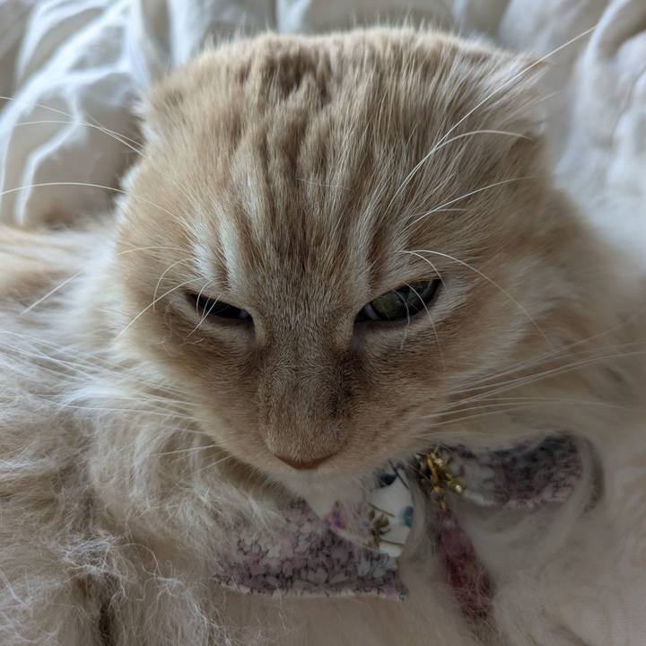 0be8e801 0a10 4f2d 942a 9afebb98bc1c 1750065600093