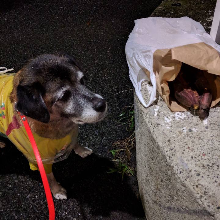 0be8ff84 2bdb 4a1d 821e 9a875b54c082 1508151001912