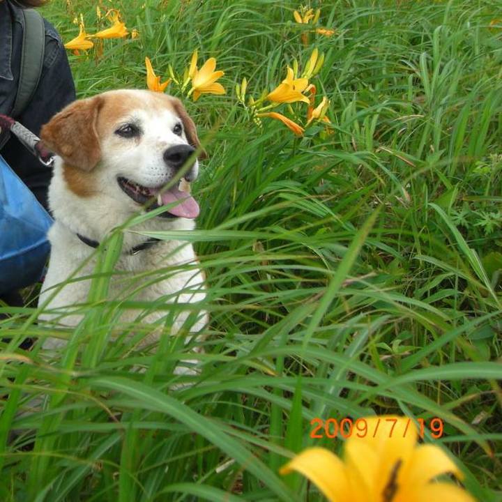 0be90455 0d43 43af 8717 92ef723e92aa 1597312627804