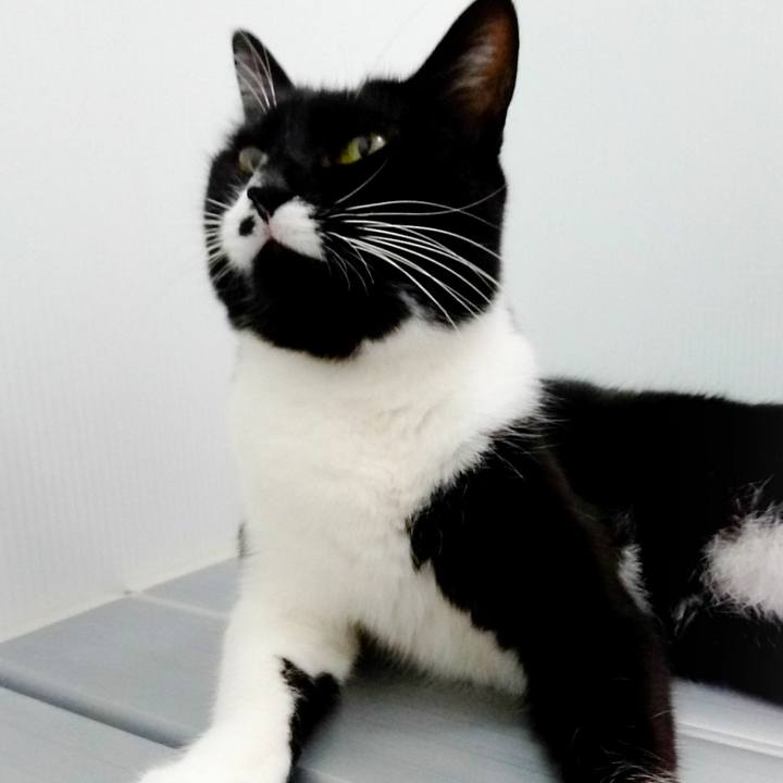 0be90c81 5168 43eb 97d9 2c701f5a414c 1512486969522