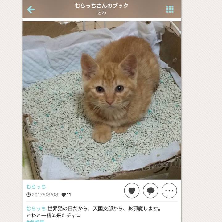 0be91257 971f 42cd b11c 6ded74e86ee1 1517752905636