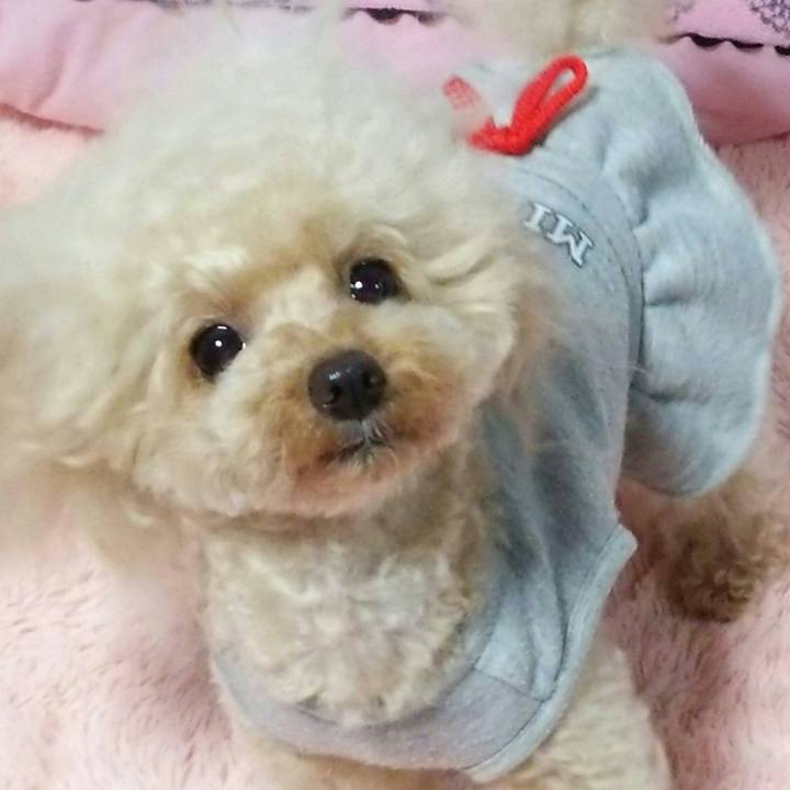 0be95528 8d98 4deb 835f ce876ebe7cbf 1539264135929