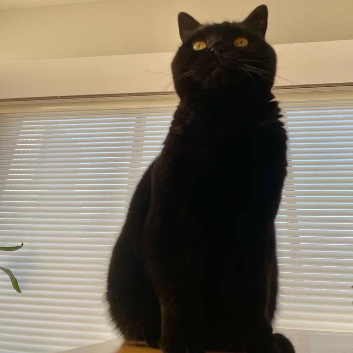 0be960b5 cadf 4a0d aa7a 0c8c28e4525d 1765601421283