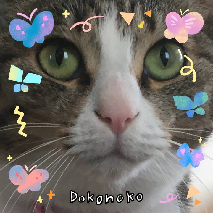 0be97abc 9072 4518 9170 0f3aad0338fc 1711167552608