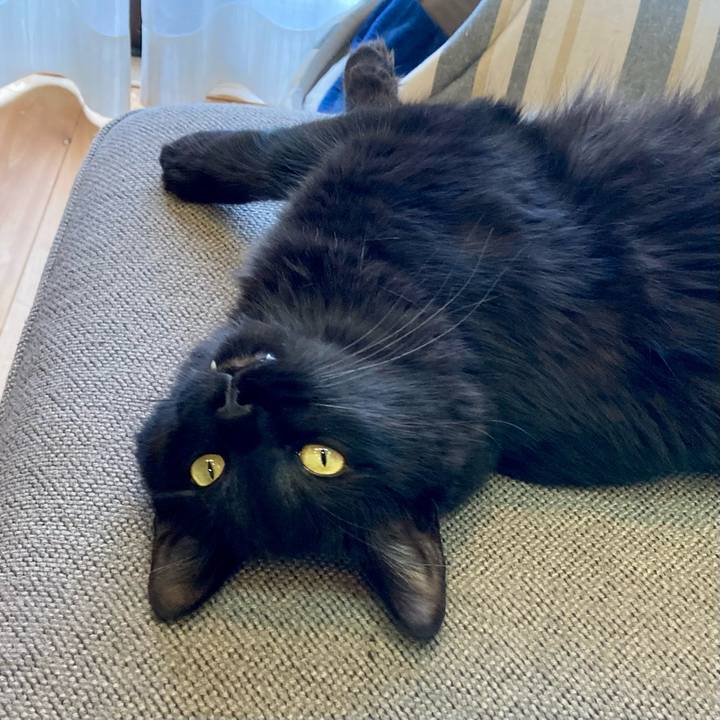 0be97fca 67a6 4d8f b197 4bd1ae9bba0c 1721451334044