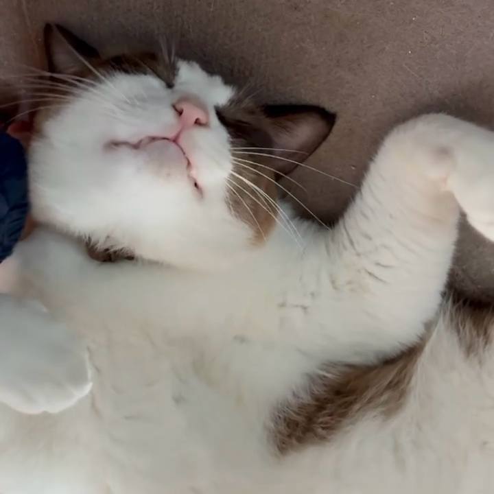 0be981f2 8e2d 4026 8dfc 19e928f1d96f 1758423567574