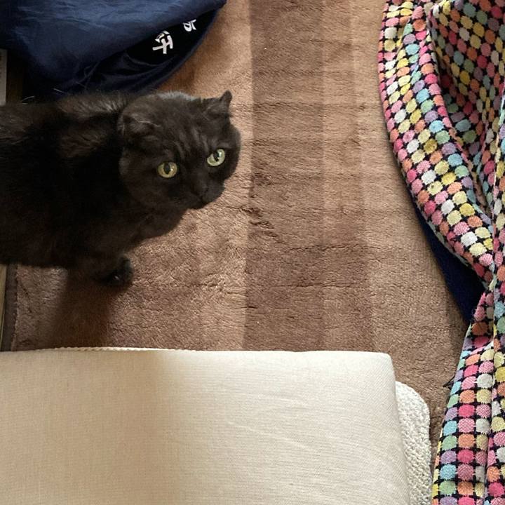 0be98bdd fa09 4293 a397 609b390f3872 1613093583603