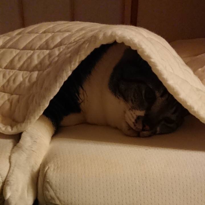 0be98e89 4f8c 4a43 a7d6 bd1e0cbdbdbc 1524489798095