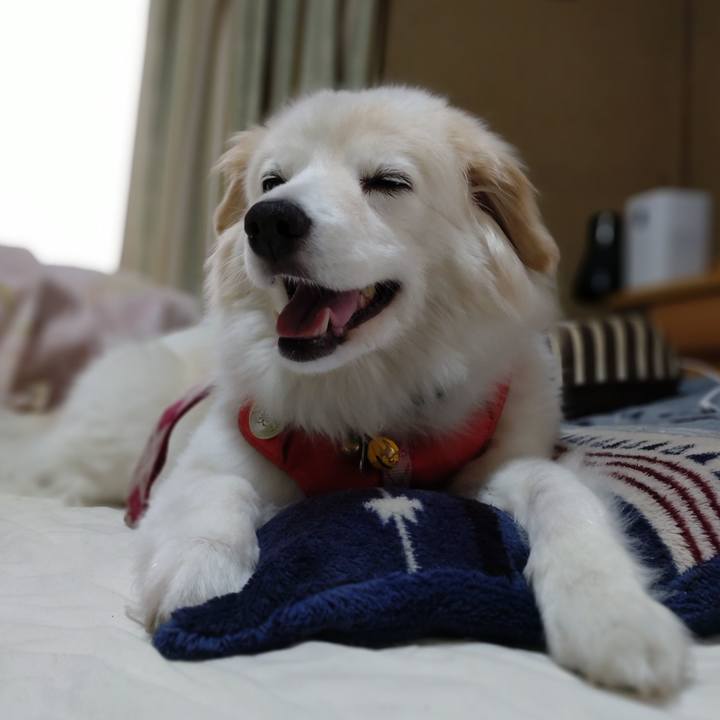 0be990cd e125 4b0f 81a9 a87c7bcfe20a 1651358360395