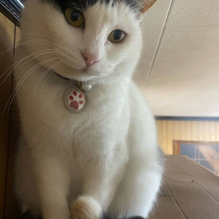 0be99380 6fdb 49b7 849b aecd15e2192b 1645099577660