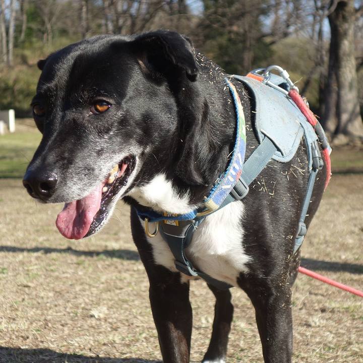 0be995c5 edb8 49f7 8f71 55709138613d 1710380831167