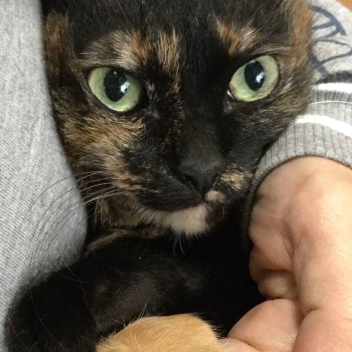 0bea27e7 4e88 40ff 973d edc5f71182ba 1590031804325