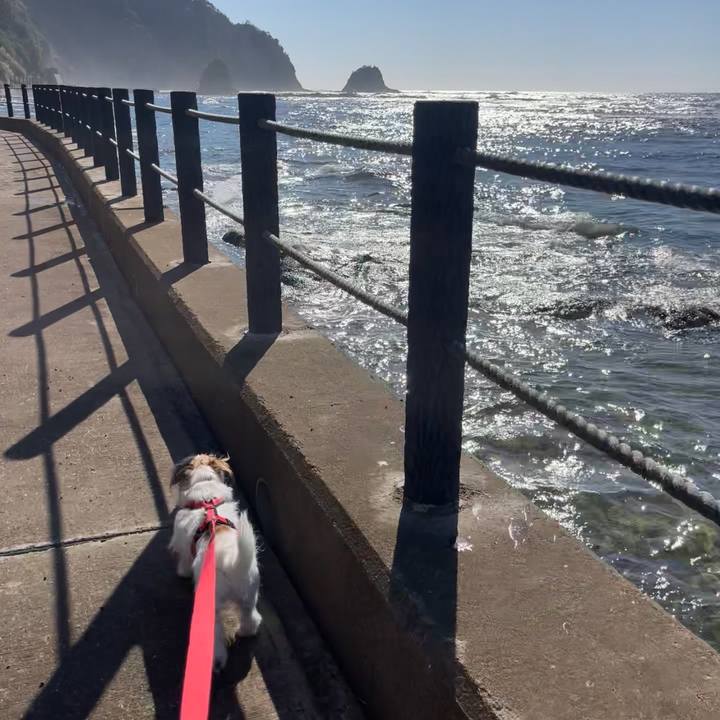 0bea301a 7709 4f21 8552 530b89849054 1768533795466