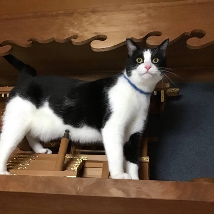 0bea653b 86d6 4941 bcfa d5e86f93a687 1703236630552