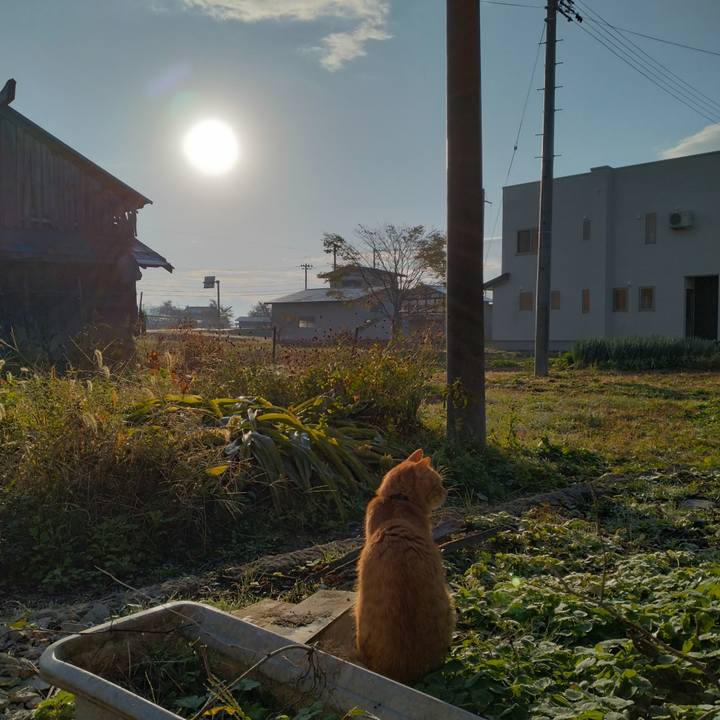 0bea6b12 075b 497f b9c2 01558a3fa308 1666995879560