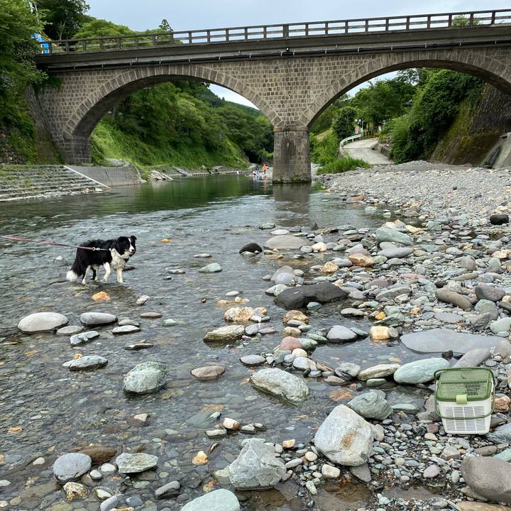 0bea8592 9e00 44c2 883a 9ba4b69aea3b 1626693652707