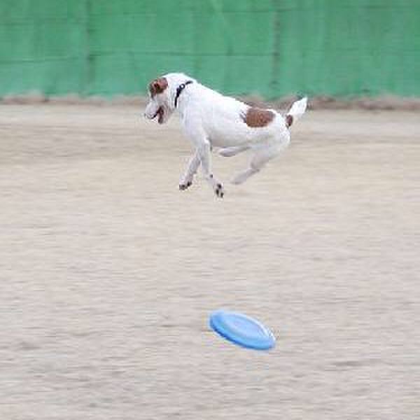 0beaac79 7427 4015 bf56 992b9452c3c3 1575633895277