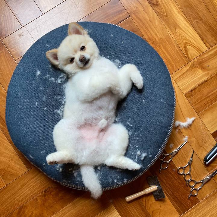 0beac6aa 81ce 4fe8 bb3a 0550c9a448ba 1625098497691