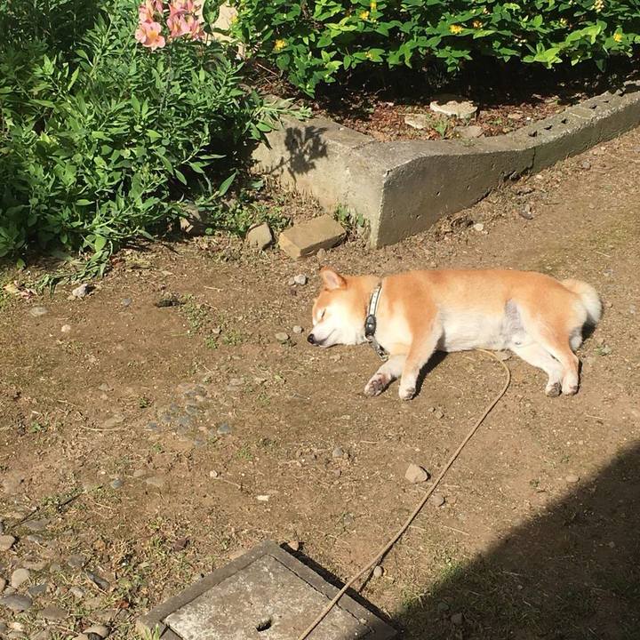 0beaf222 278a 4d76 90f4 34a84950e2bd 1530572013201