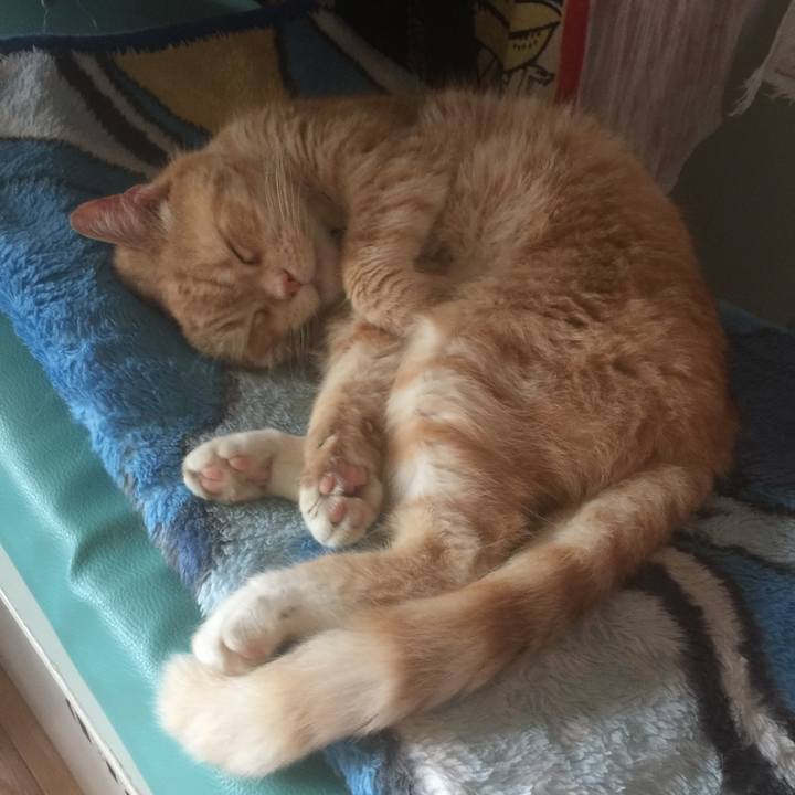 0beb04cb 816b 447f 810b da8e2177793f 1561940632904