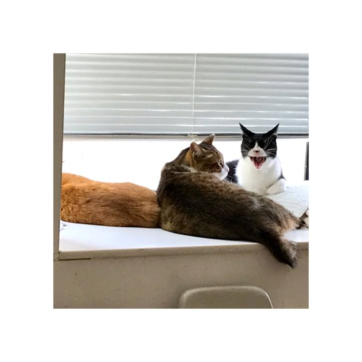 0beb1394 876e 47f6 b9d6 07a19af6f25c 1644193850323