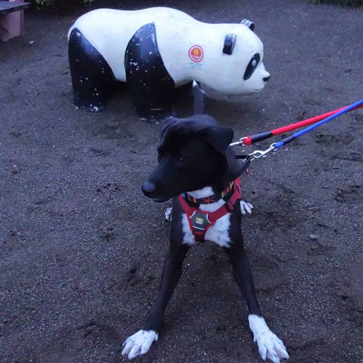 0beb15f1 4609 4228 a40e eb36a724f77a 1587205067902