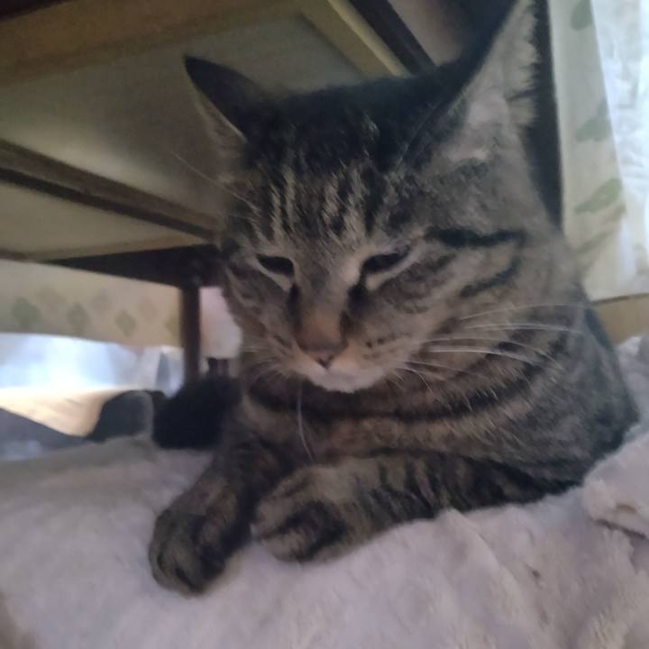 0beb4190 3fe0 46d5 8c5a 2ded39f1f1bc 1677797385098