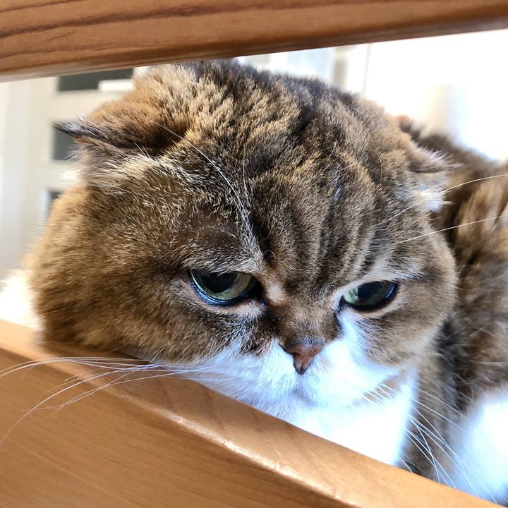 0beb4c18 fc48 408e ad89 5de93f271efc 1609644734244