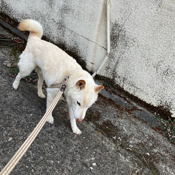 0beb5011 f8da 475f 9b1c 14a21d48b7dc 1636807845937