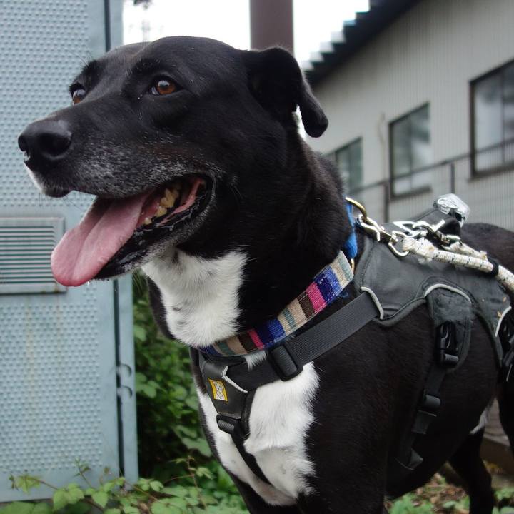 0beb8d21 37d7 41e7 a920 363e795719df 1665791135823