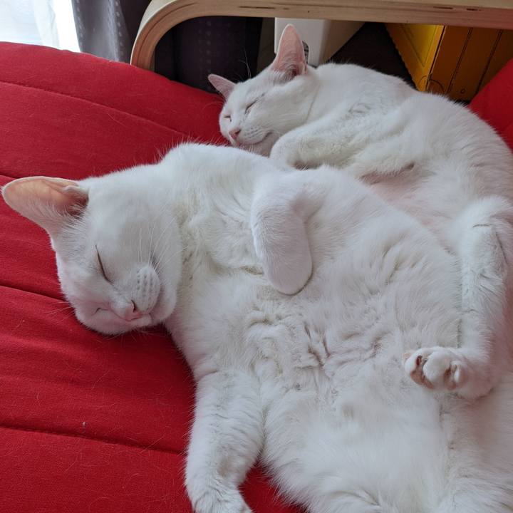 0beba3c8 f857 44ba 8400 dfd686d7c37b 1651104915231