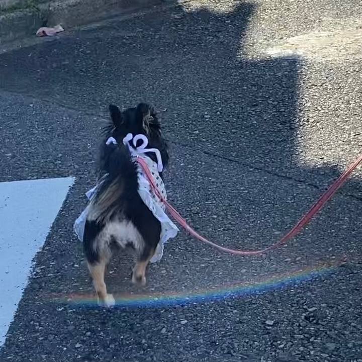 0bebb604 c8cc 42f6 bff6 4cced8d2824c 1626564048464