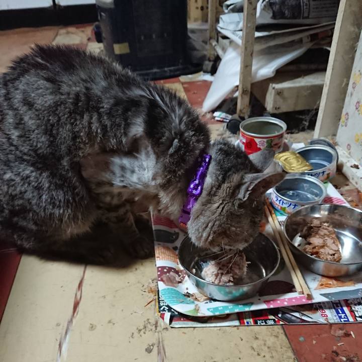 0bebc779 9de0 4edd a55a 9f37a879f973 1591218207683