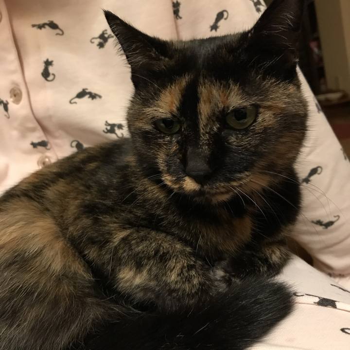 0bebf9ff f309 45b5 9b24 d28b833b38c9 1509366836058