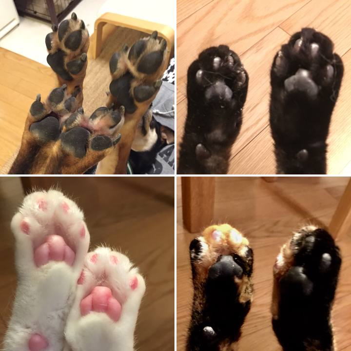 0bec20d1 8774 46b2 9d17 003e2be4aaf8 1519304012538