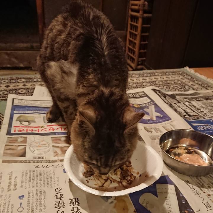 0bec3e83 86e9 4ff7 ad43 b5de29e72da3 1598176881312