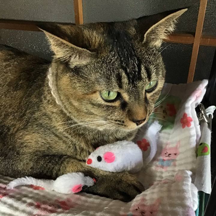 0bec6b04 7721 4bfd bf13 5e522b60da1b 1655628434638