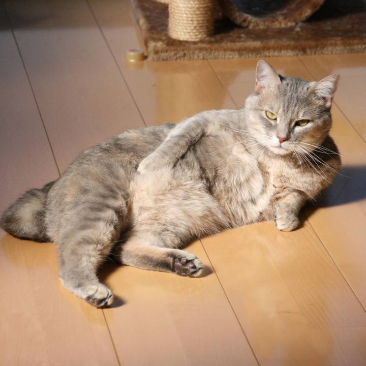 0becd05d 644a 42f2 bf44 cf48224afa93 1541397938181