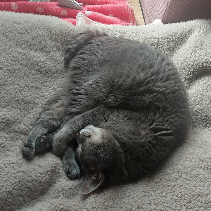 0becd12d 77b0 4024 92c8 612c2bb8fbb8 1681256685687