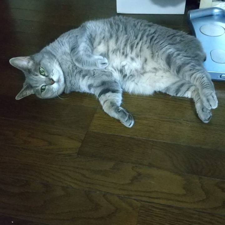 0bed02c7 e0cf 47ad 9c53 9bb0d78e3251 1627985373512