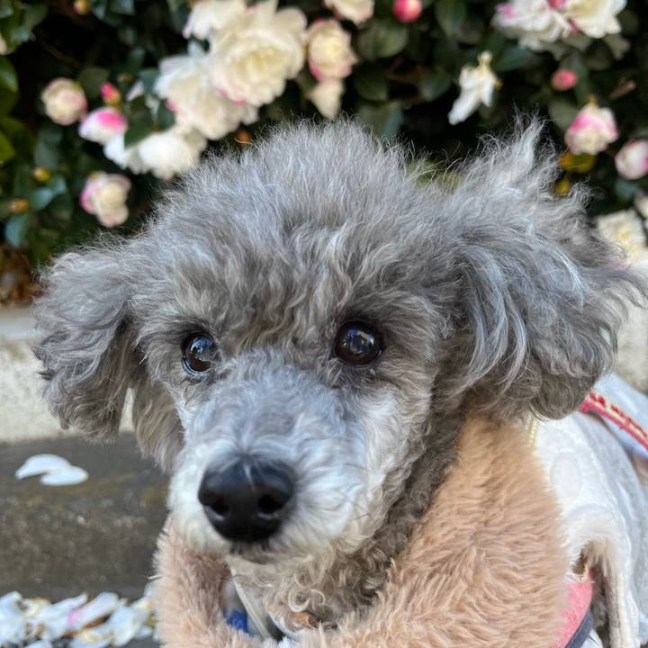 0bed0a1f 9c92 4e1f 90d9 9f8ac41dc8bf 1703077019970