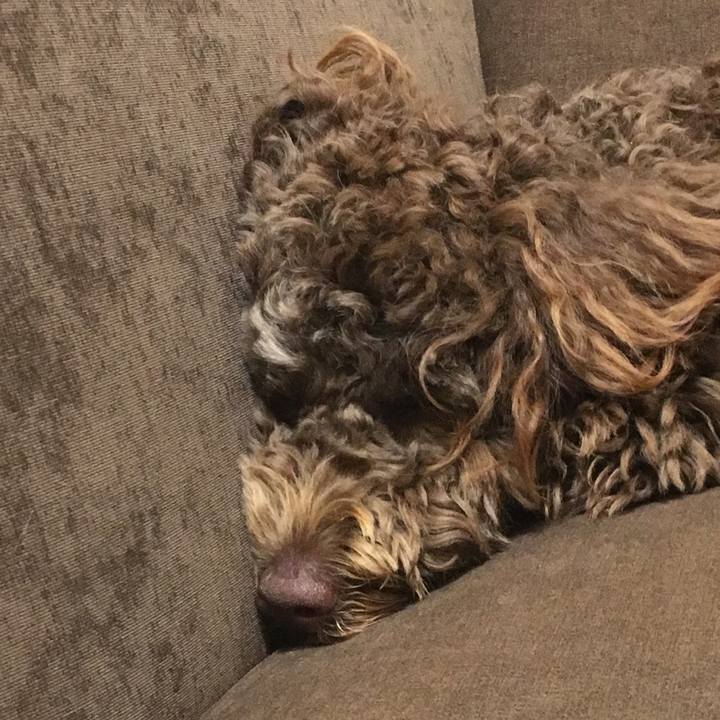 0bed15aa 1e67 4546 8269 0b6396b038bb 1558610493047