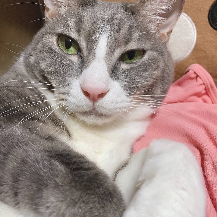 0bed6b1a e61d 4798 827f 4cdb26201b48 1600683517090