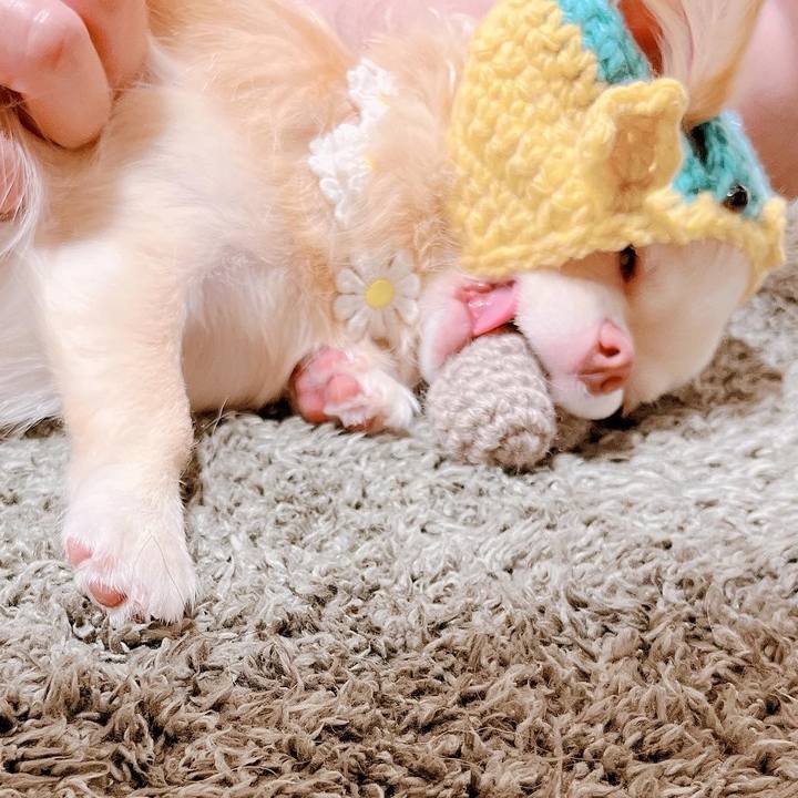 0bed8fb2 21f7 4a4f a7e3 67962bc6e2ad 1662623247673