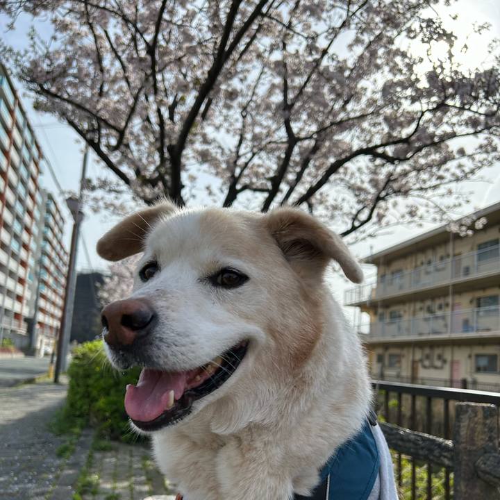 0bed92b3 3cff 4447 8669 4f2987939d59 1712447145094