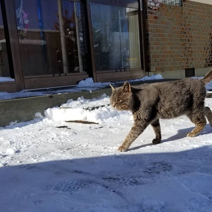 0bedb65e 9638 4d23 a9fa dde09c745d59 1546849777623