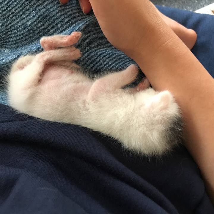 0bedcb1d 0d3c 4ef4 956f 3ce8b052deb6 1589781782461