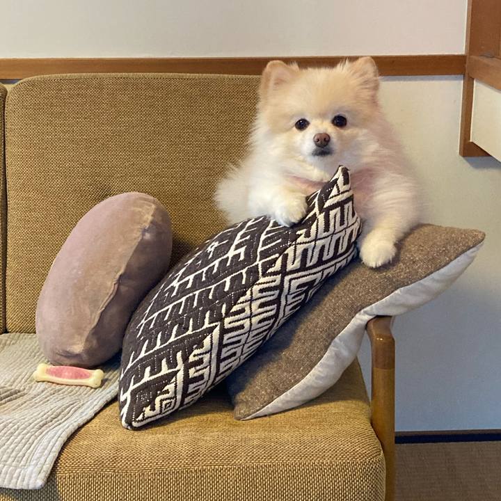 0bee0a5a c4f2 4b4d a2f4 043ce355e51a 1700391849223